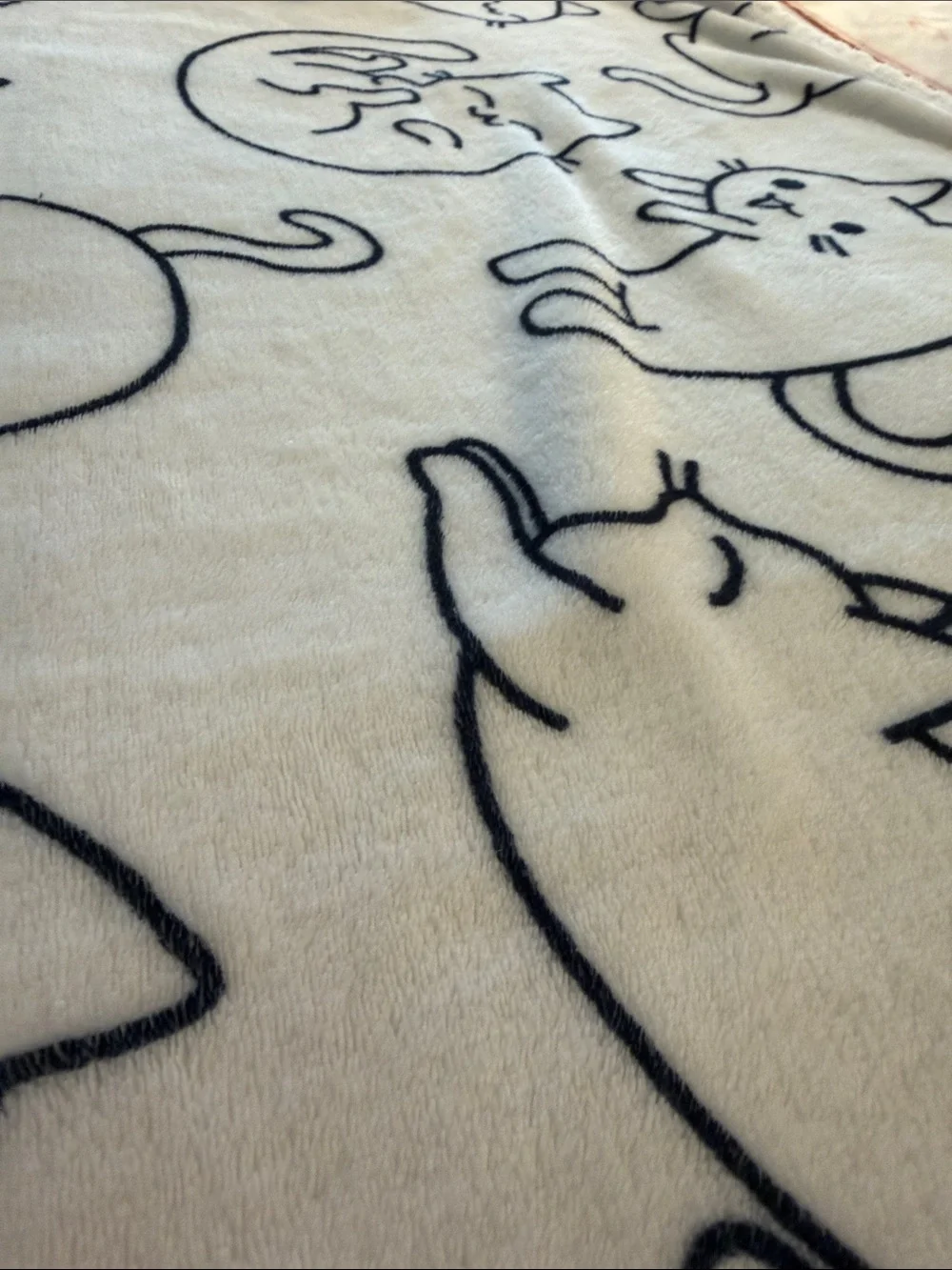 🐈‍⬛ Cute White Plush Cat Throw Blanket with Black Outline 🐈‍⬛ Cats